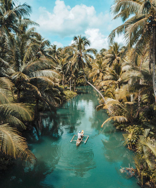 Kendaraan wisata di area tropis