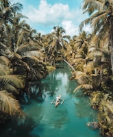 Expert travel guides
