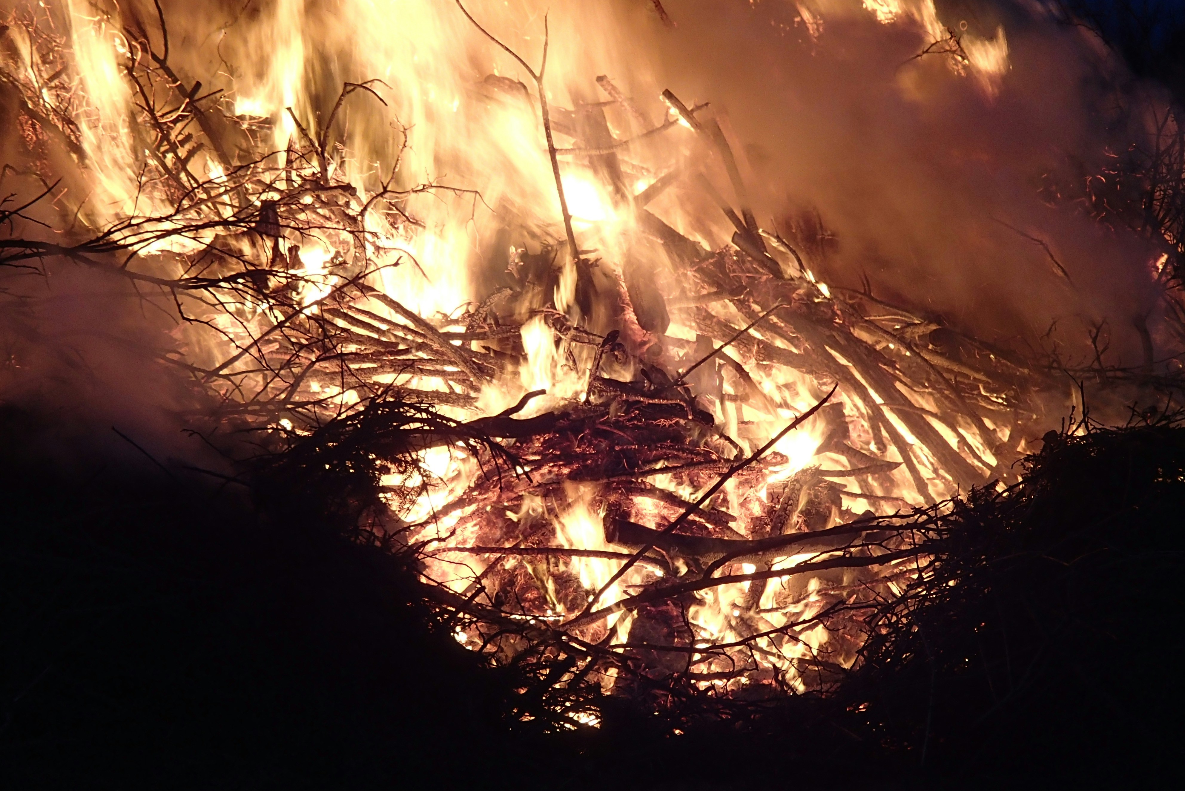 Saturday Links: Marsh Complex Fire Growing; $1,200 Bunk Beds are Now a Thing