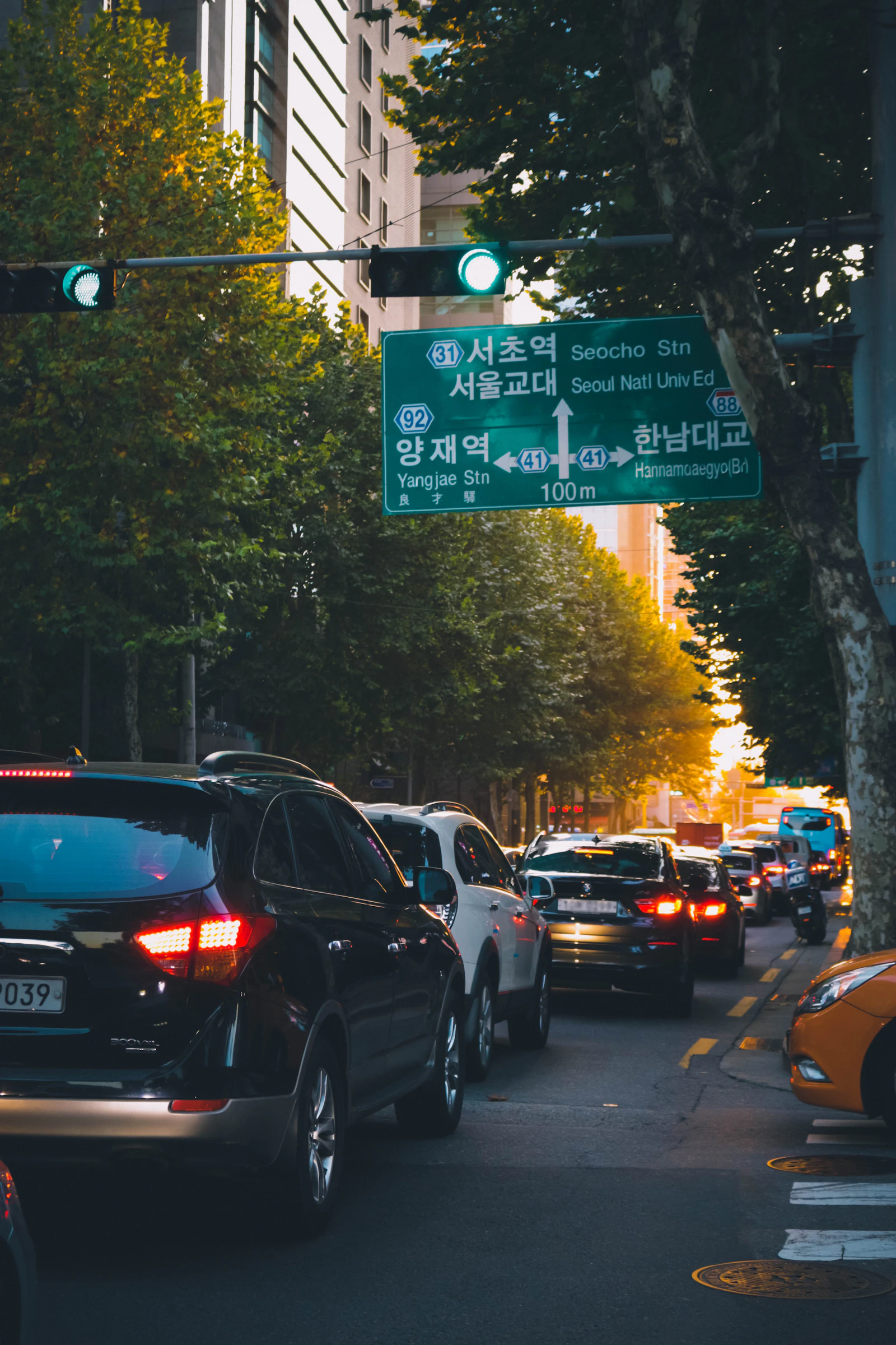 Cars parked along a tree-lined street in Seoul at sunset