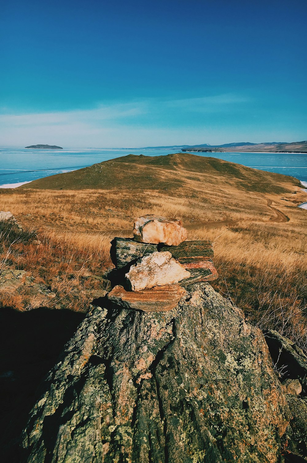 pedra cinza no tronco