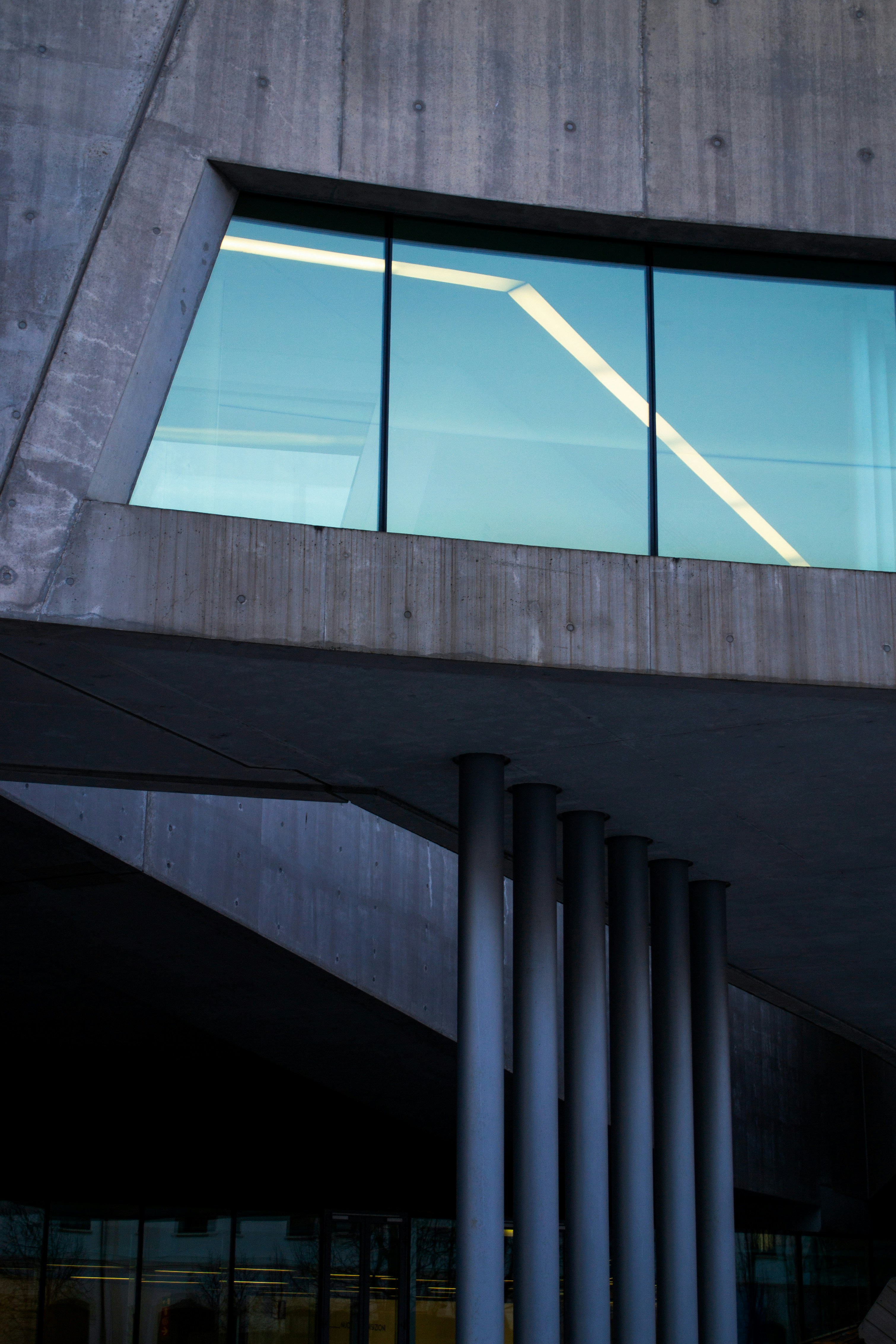 Photo by serenarepice