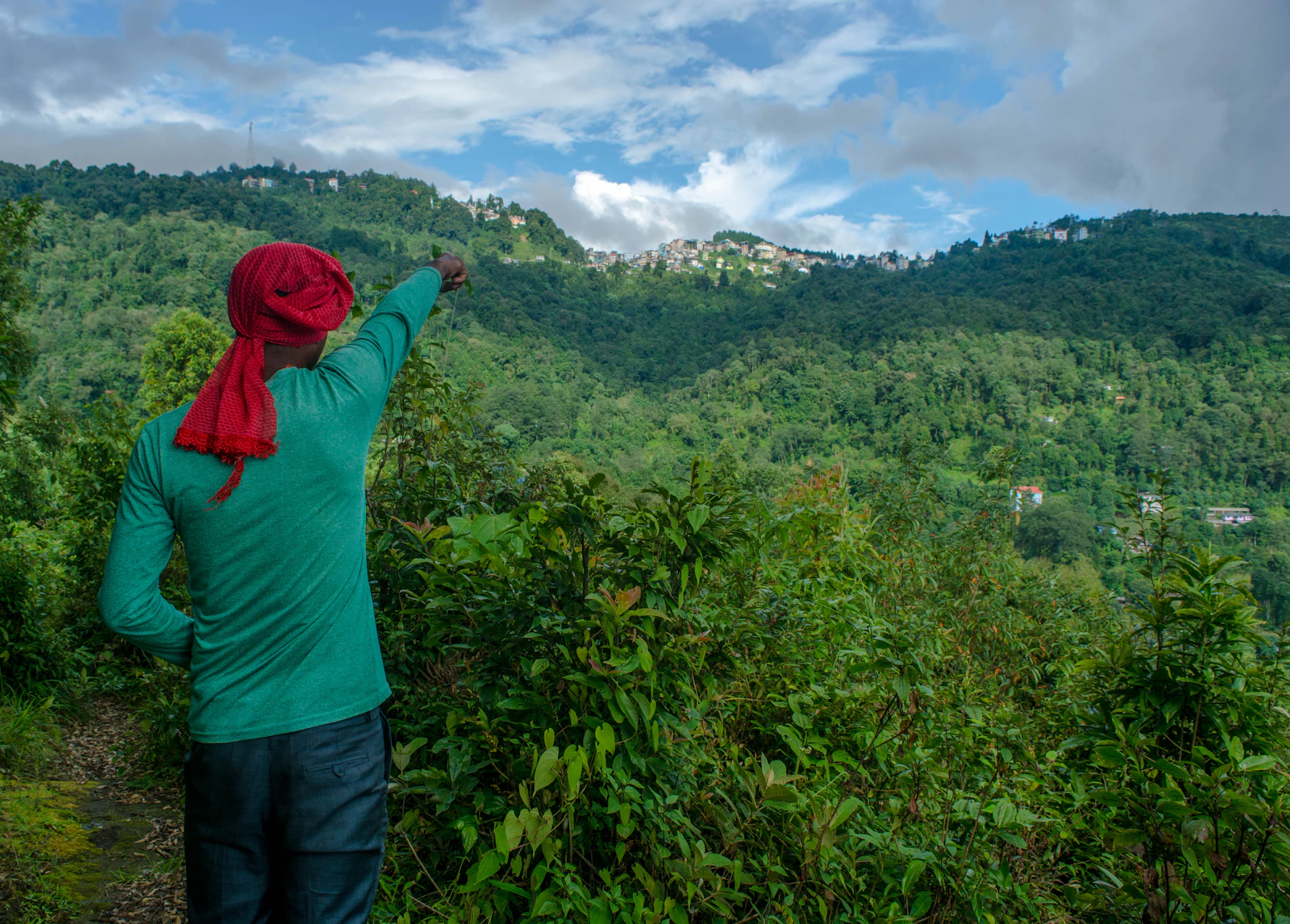 A man in a red headscarf points across forested ridges near Ravangla, a hilltop settlement in the distance