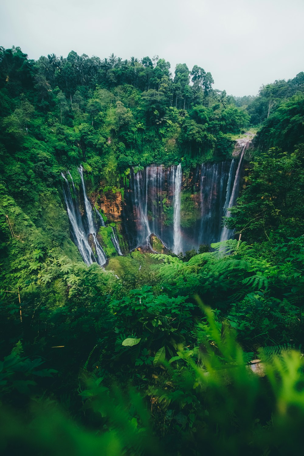 selective focus photography of waterfalls during daytime