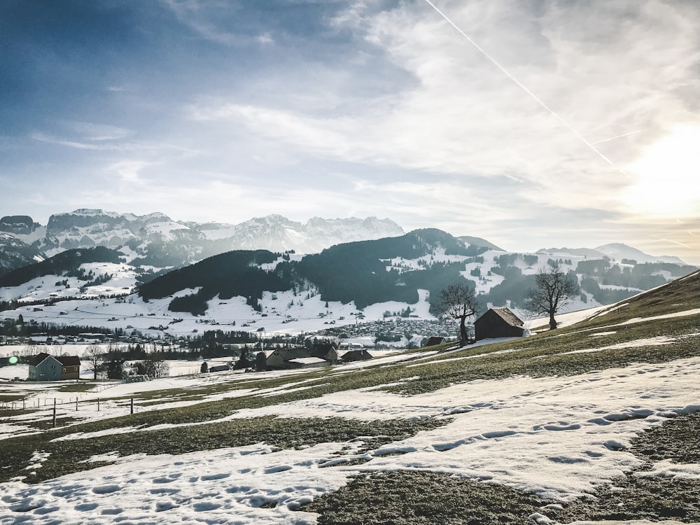 icy mountain surface scenery