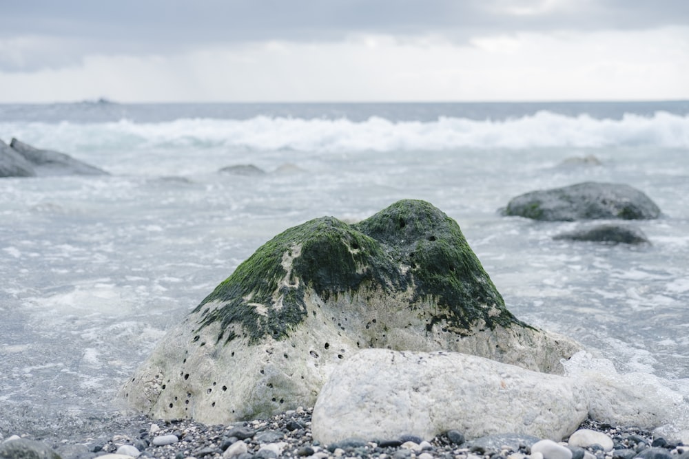 green rock on water