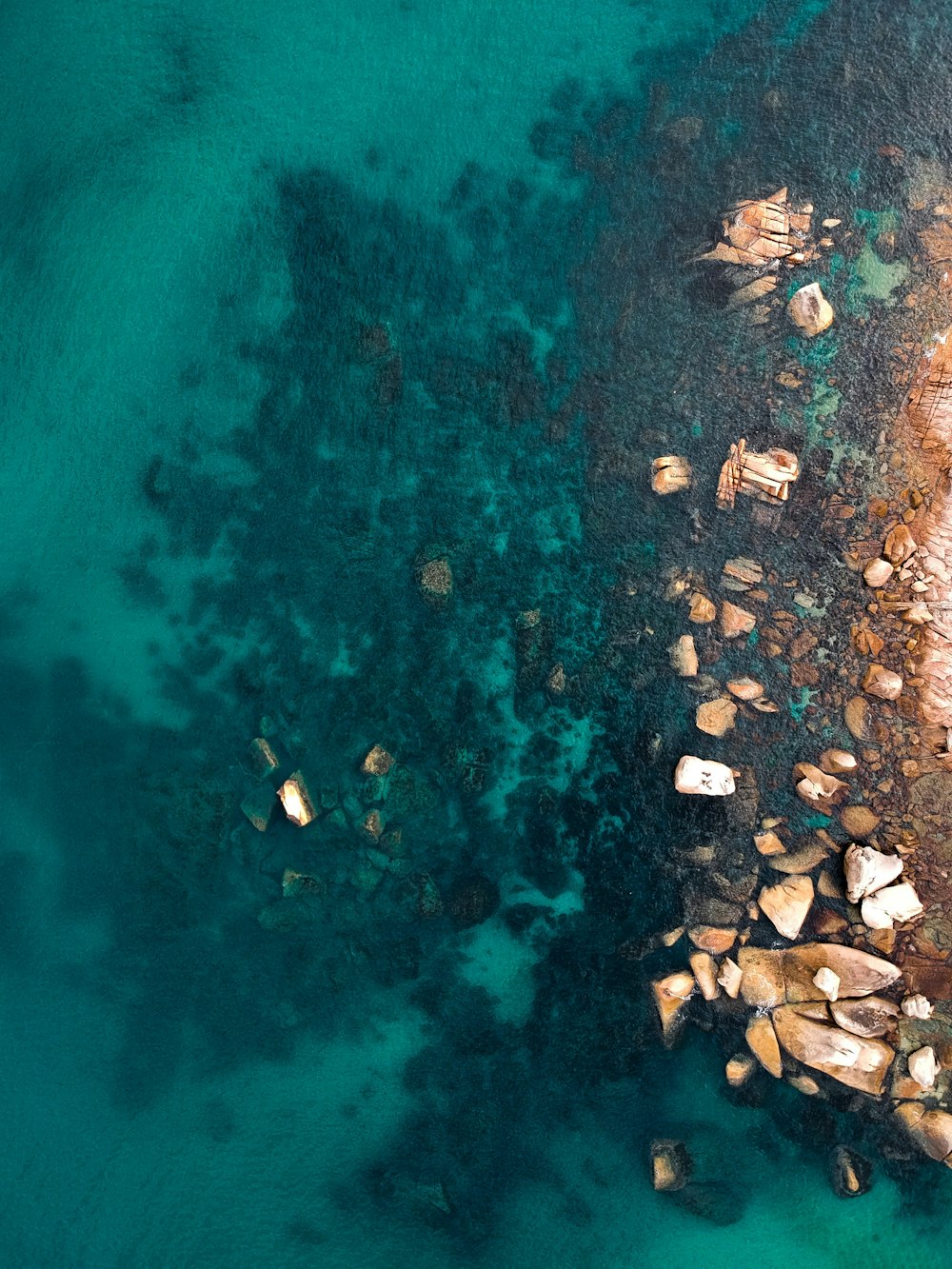 aerial view photography of rocky shore