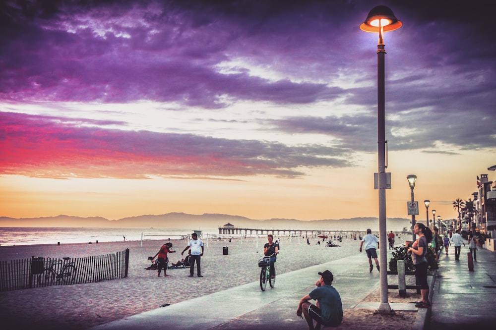 people on park beside beach