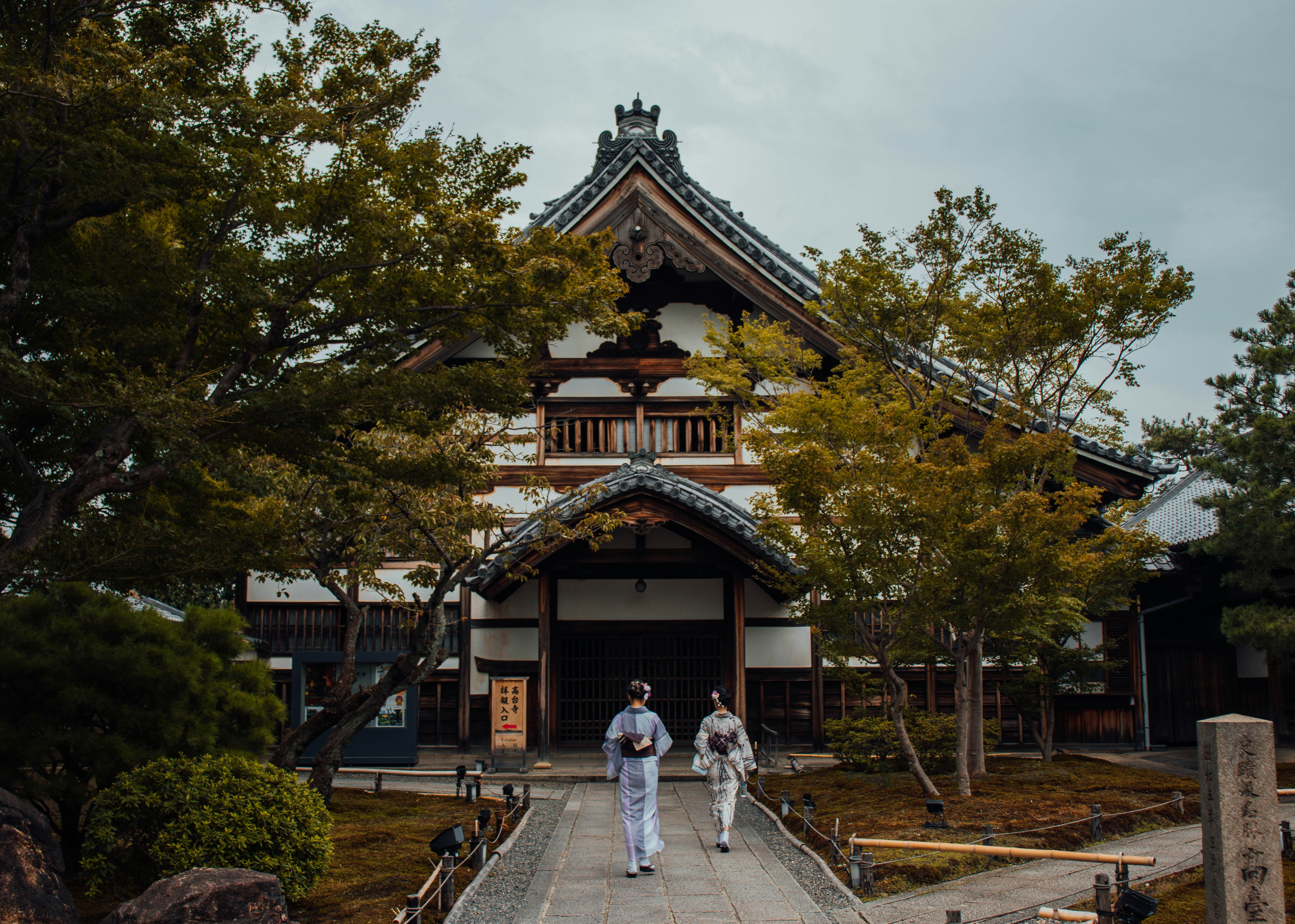 two Gesha walking on concrete walkway beside trees