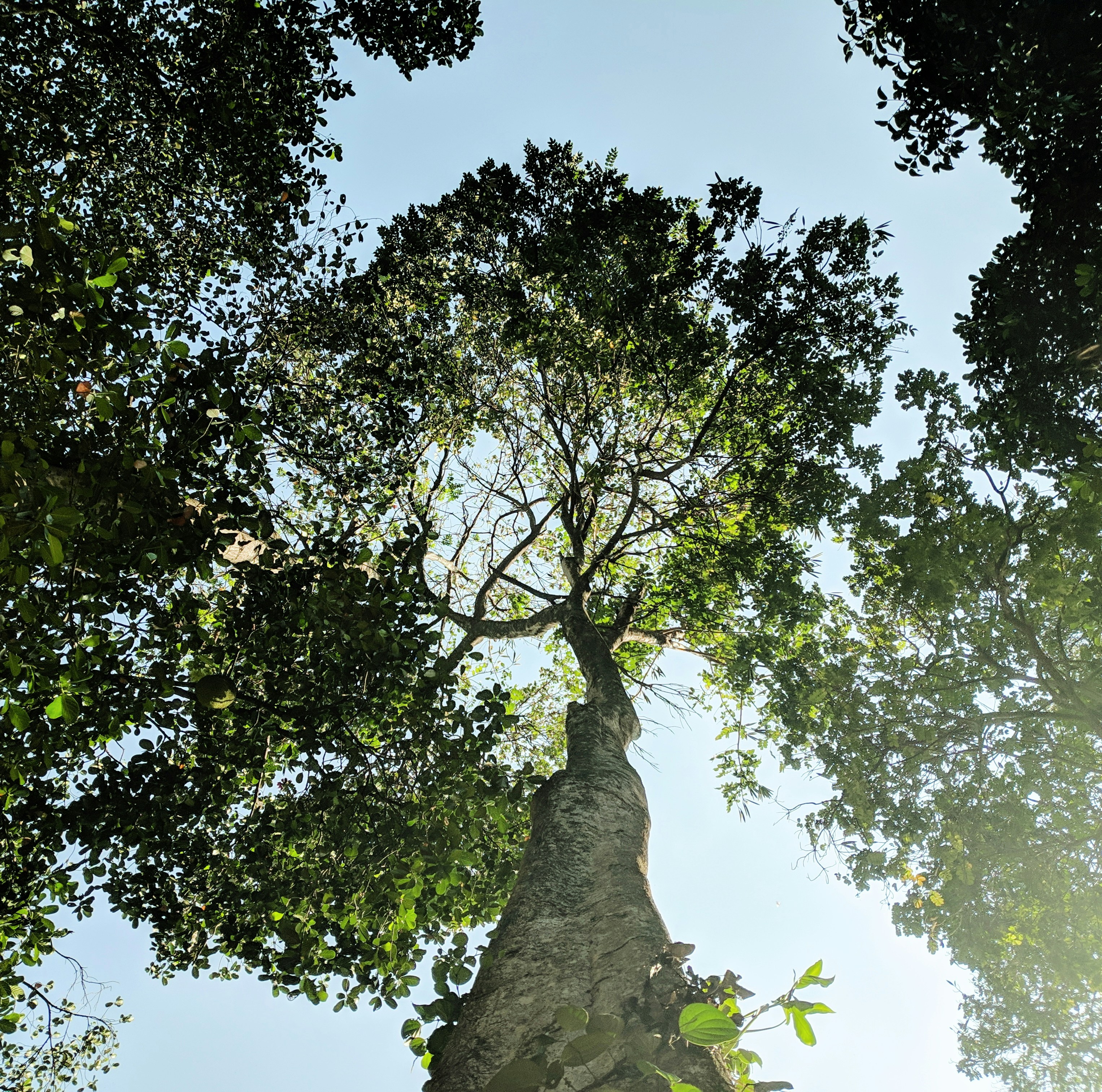 Photo by therealmadtitan