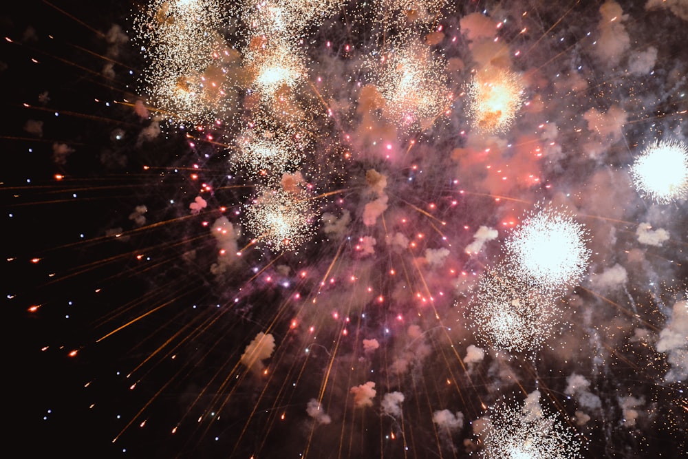 low angle photo of firework display