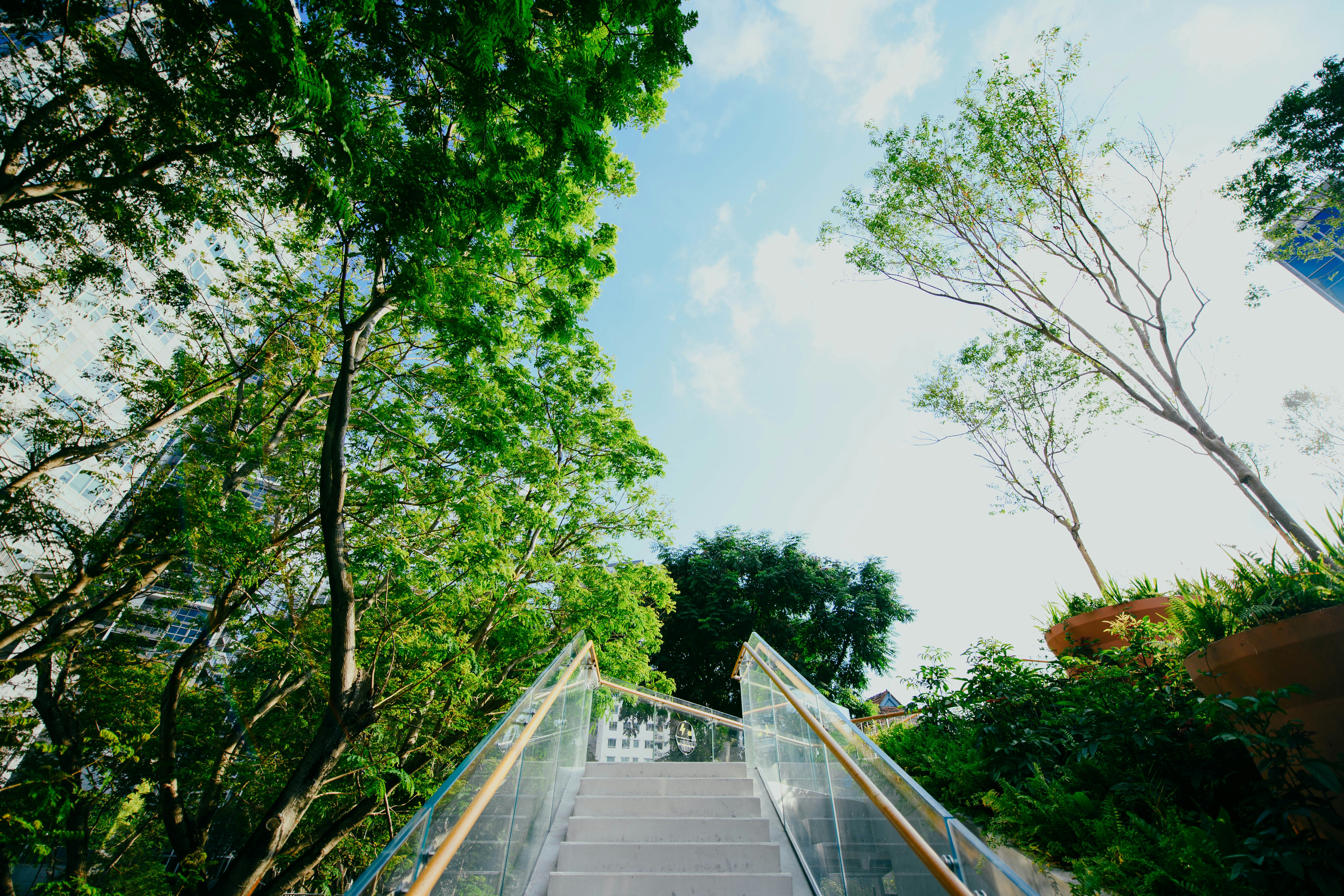 Photo by chuttersnap