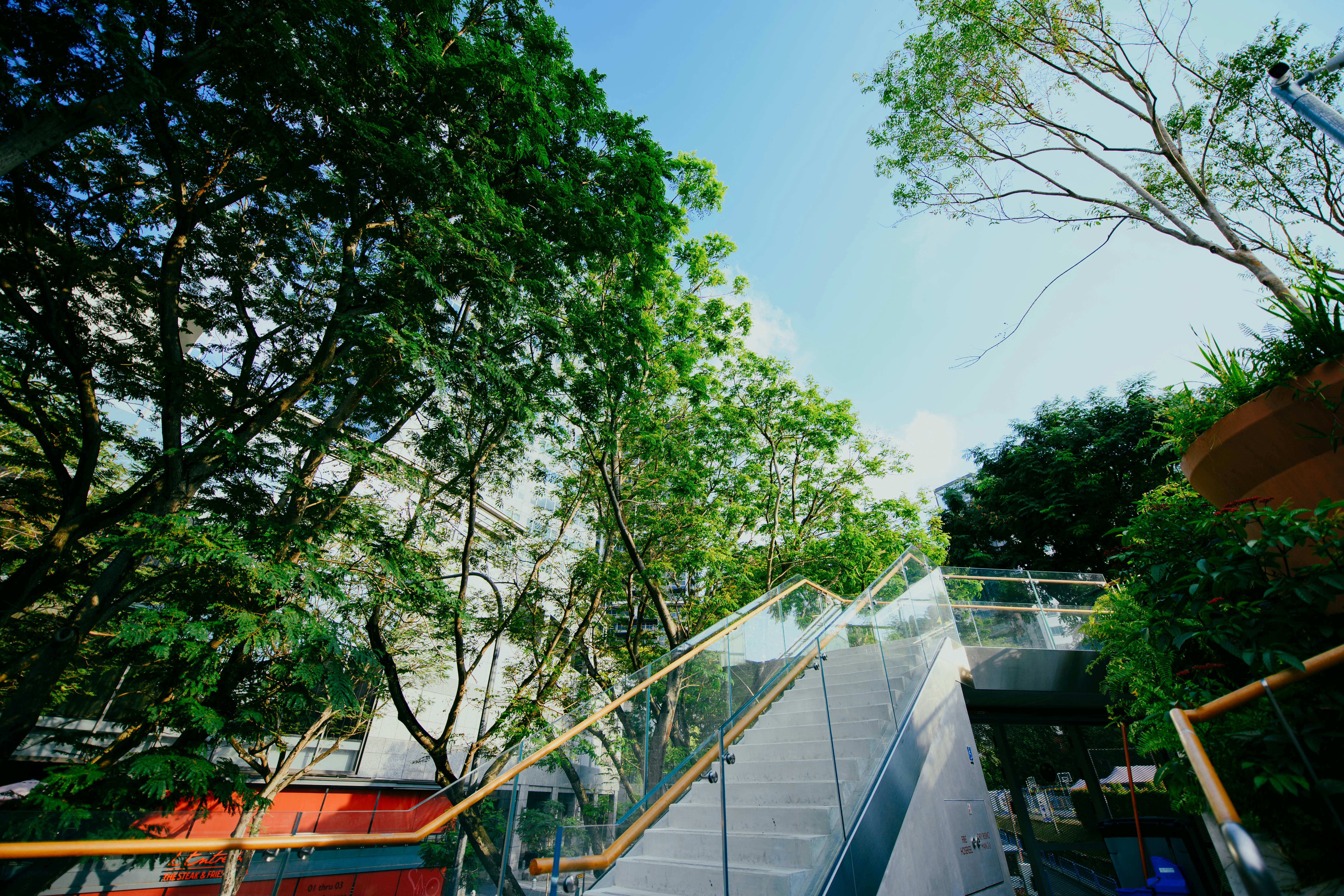 Photo by chuttersnap