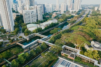 aerial photography of buildings and trees at daytime