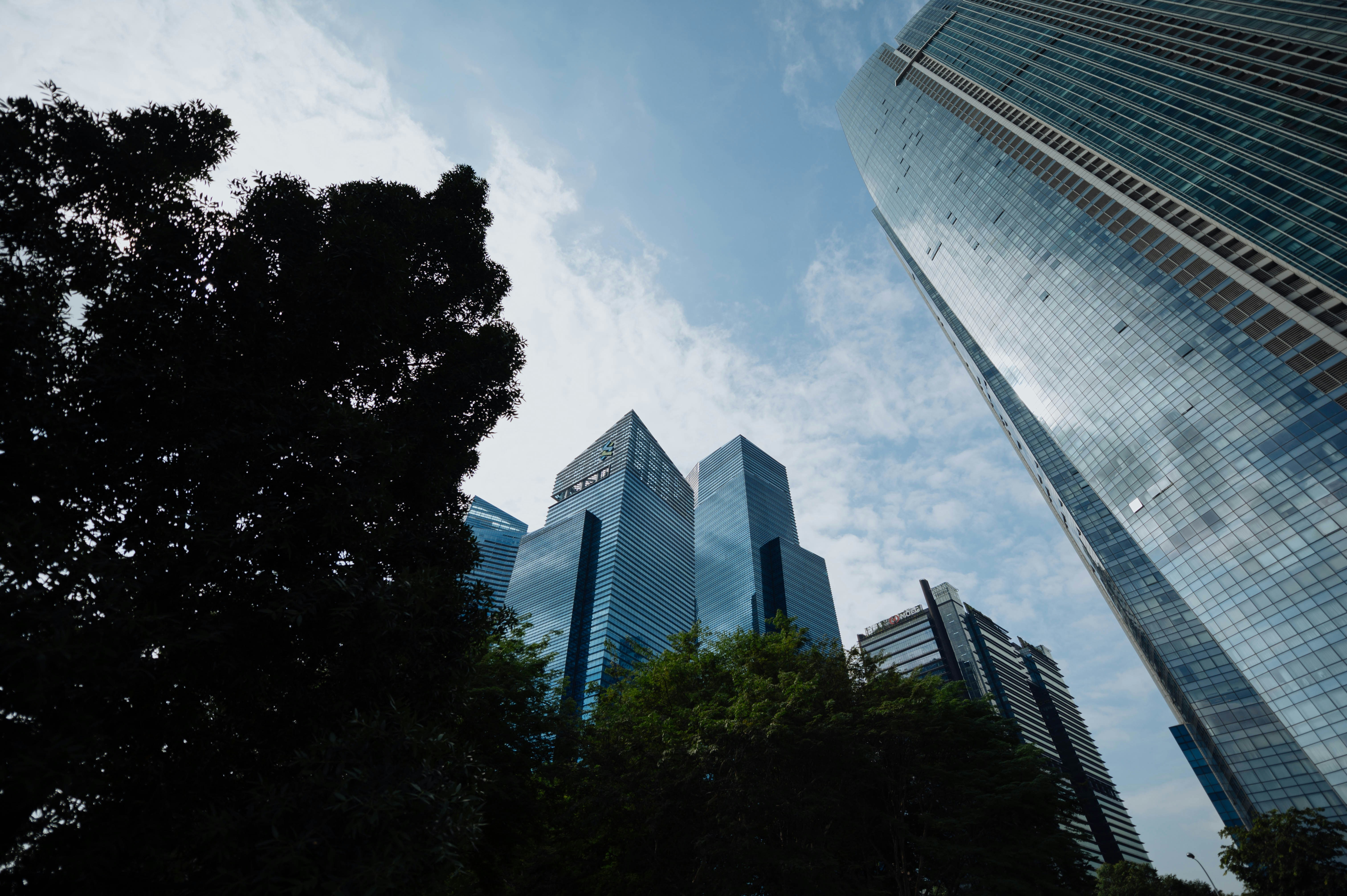 Photo by chuttersnap