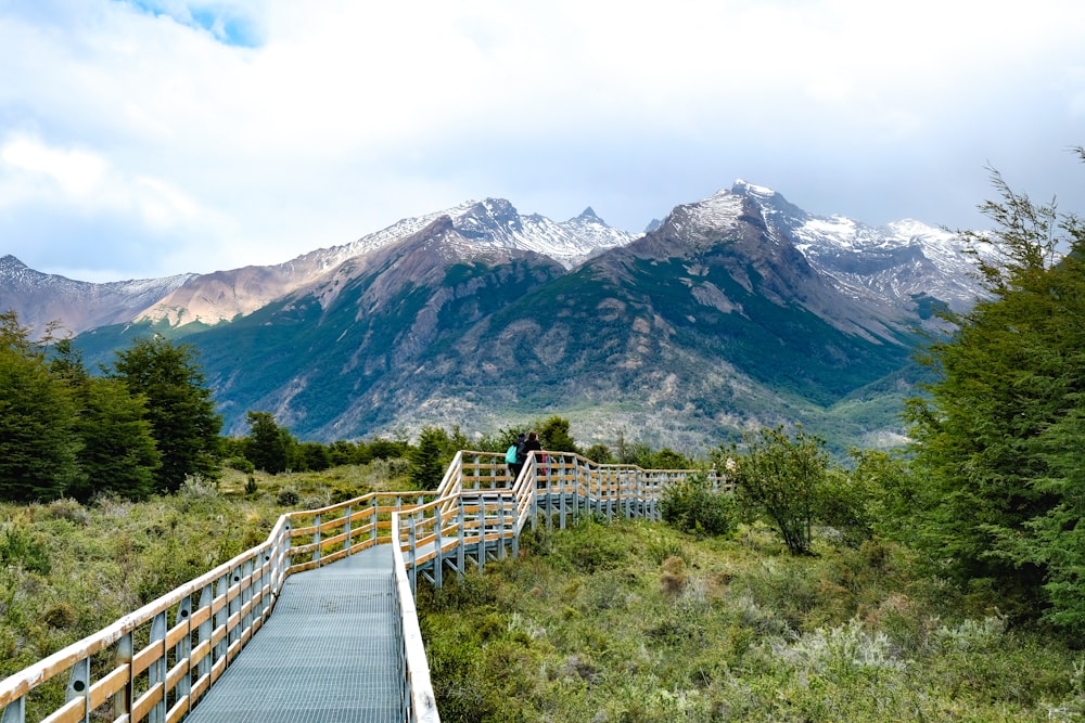 brown pathway near snow-covered mountain