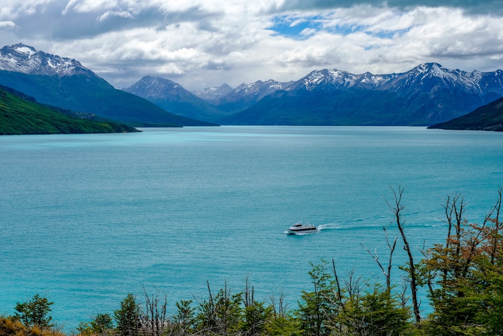 white yacht on body of water during daytime