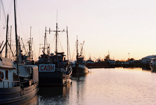 Historic dock along the Patuxent River with fishing boats at sunrise.