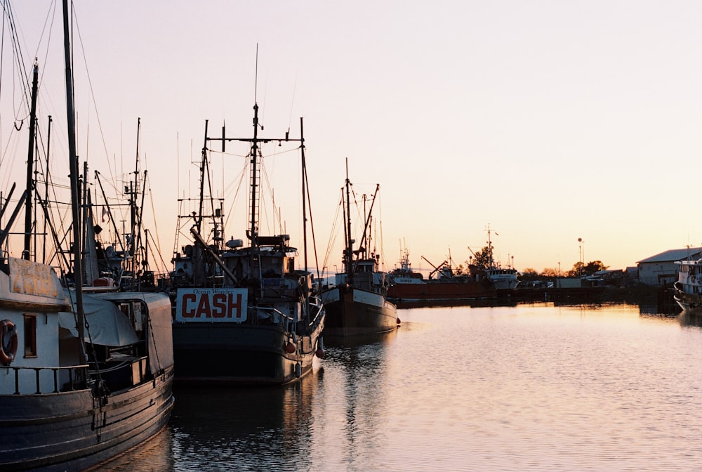 brown and black Cash boat on seat