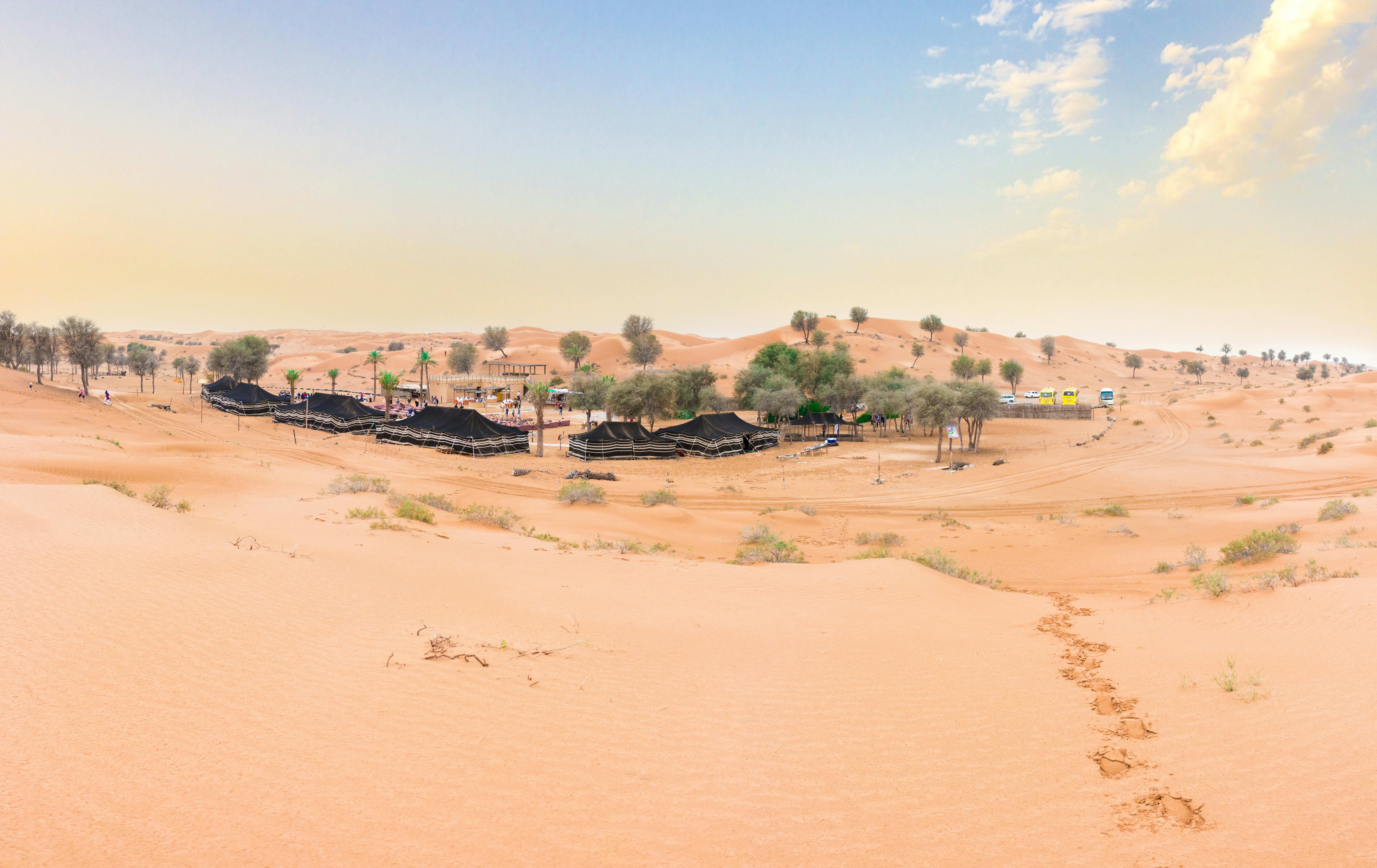 luxury sahara camp with family suites