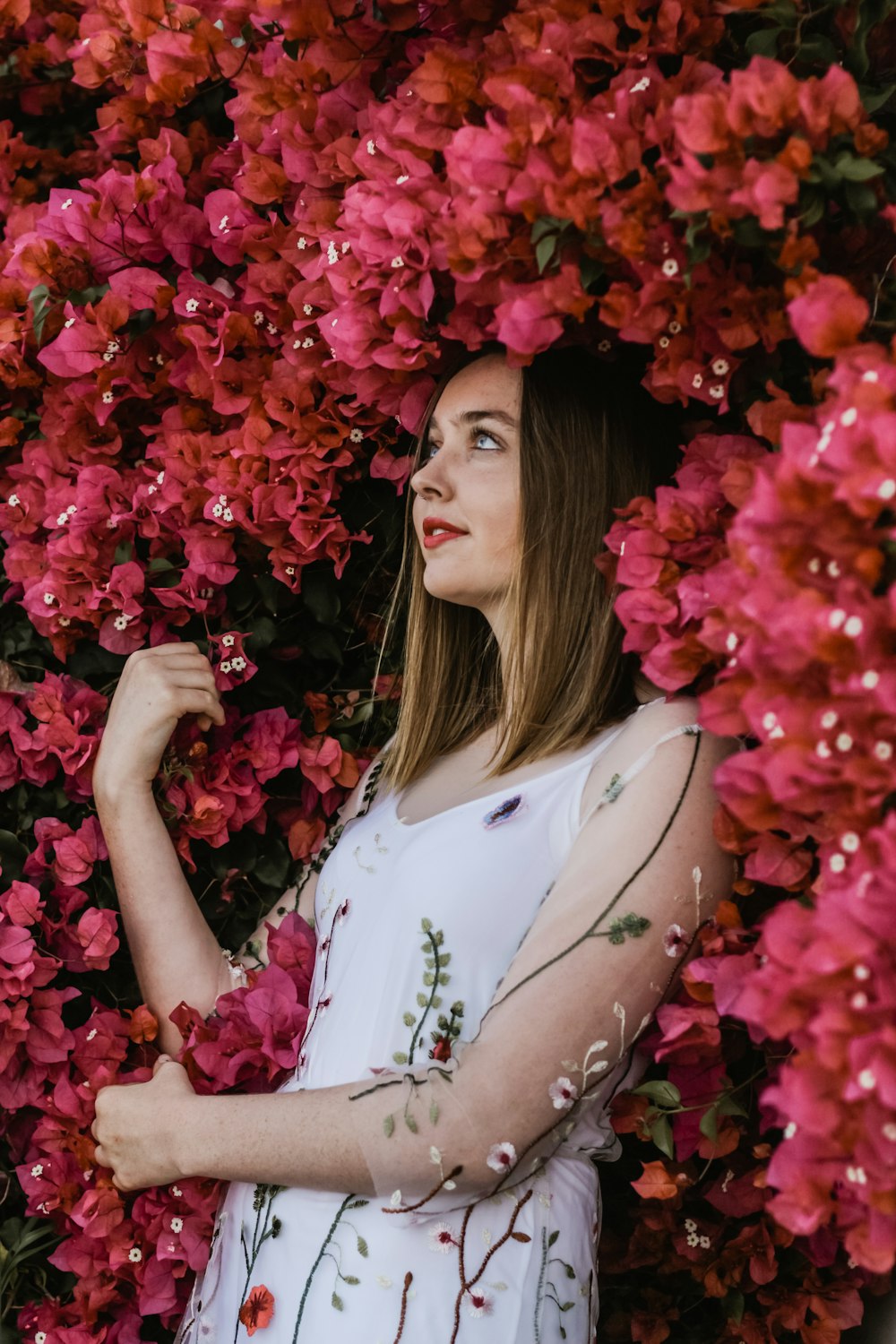 woman leaning on red petaled flowers