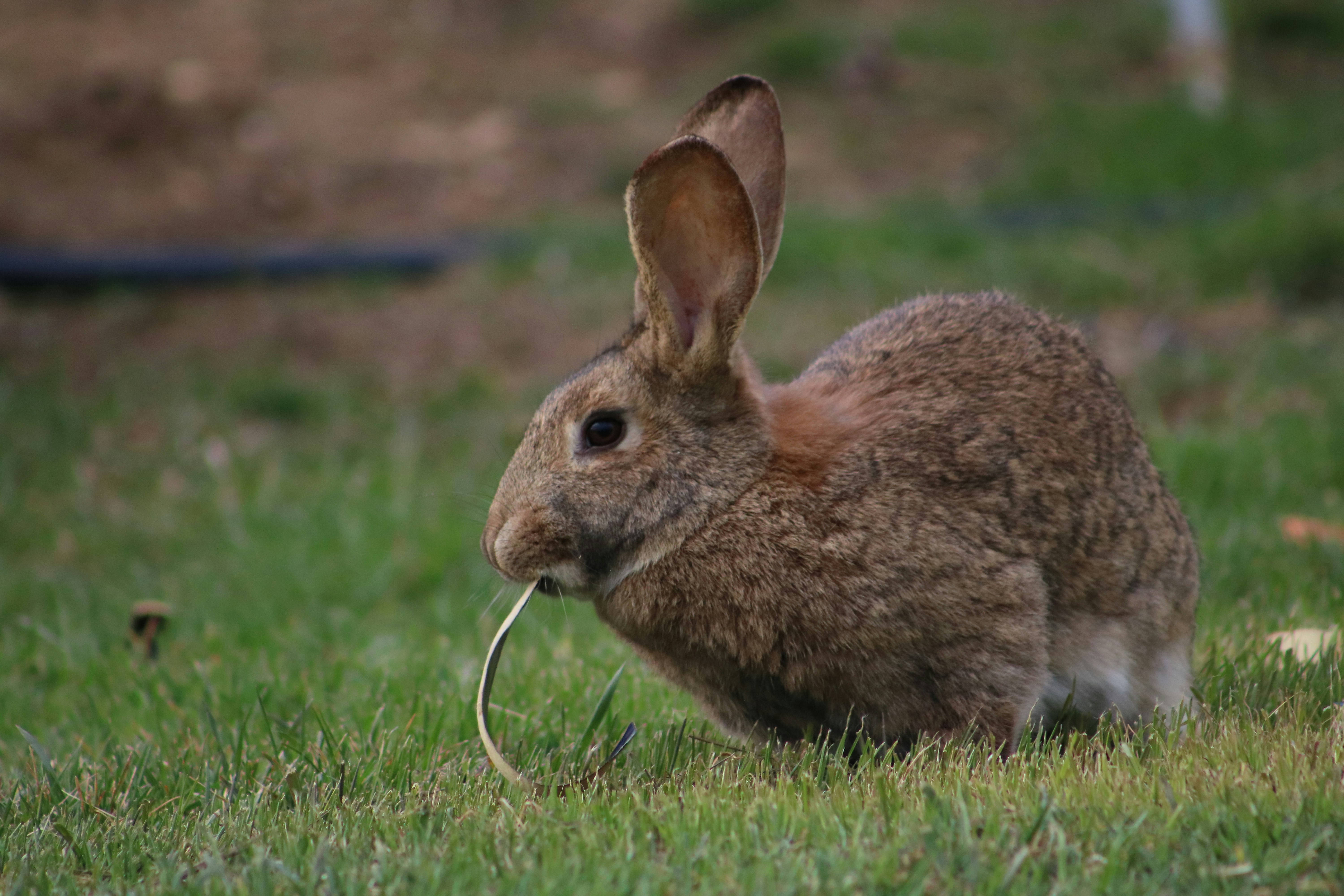 Photo by magneticart