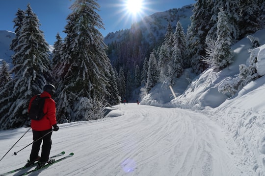person skiing near pine trees in Les Gets France
