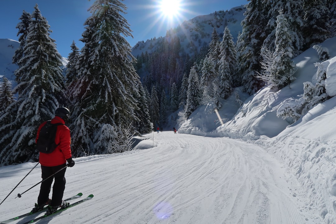 person skiing near pine trees,