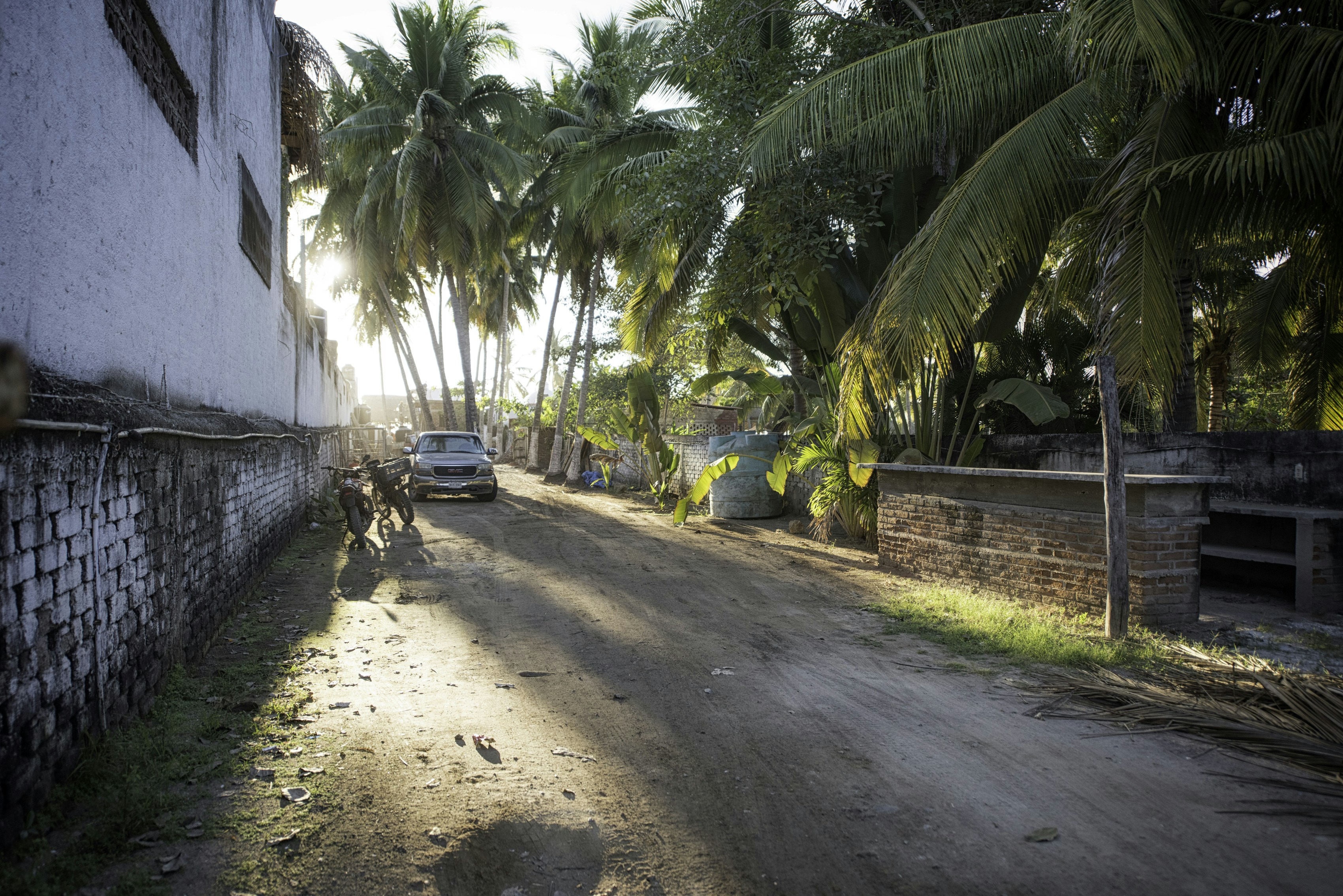 car beside motorcycle surrounded by coconut trees