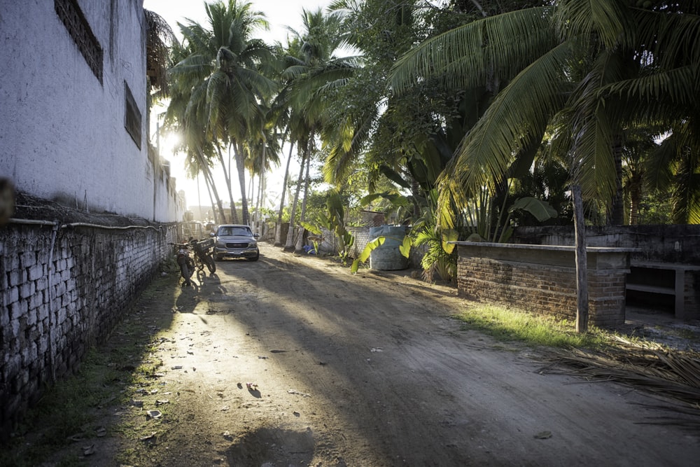 car beside motorcycle surrounded by coconut trees