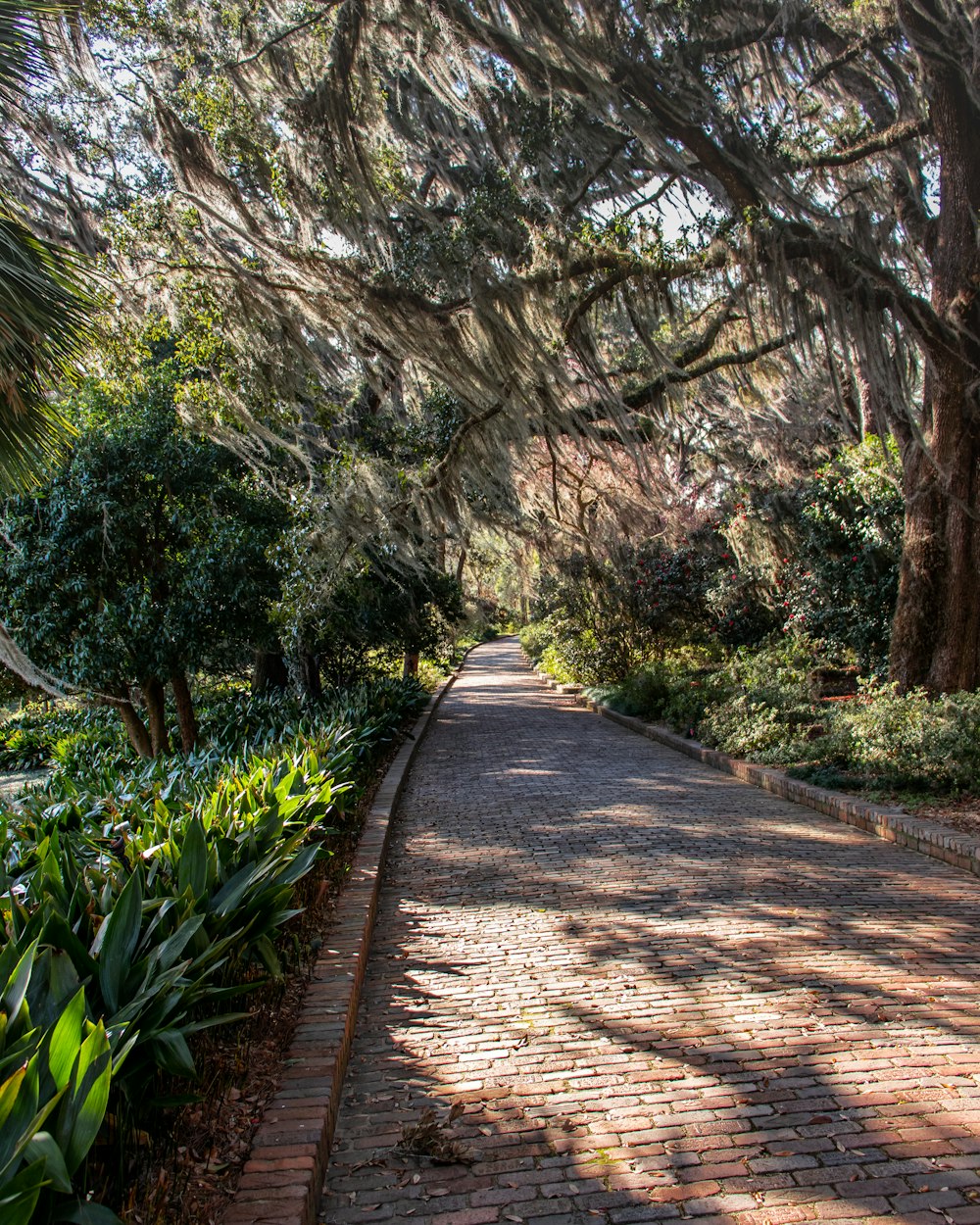 Camino de ladrillo marrón