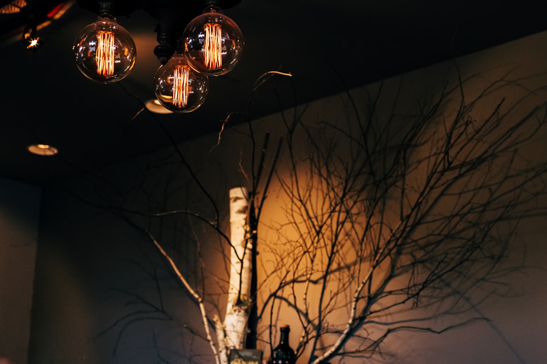 black lighted decorative hanging balls near withered branches
