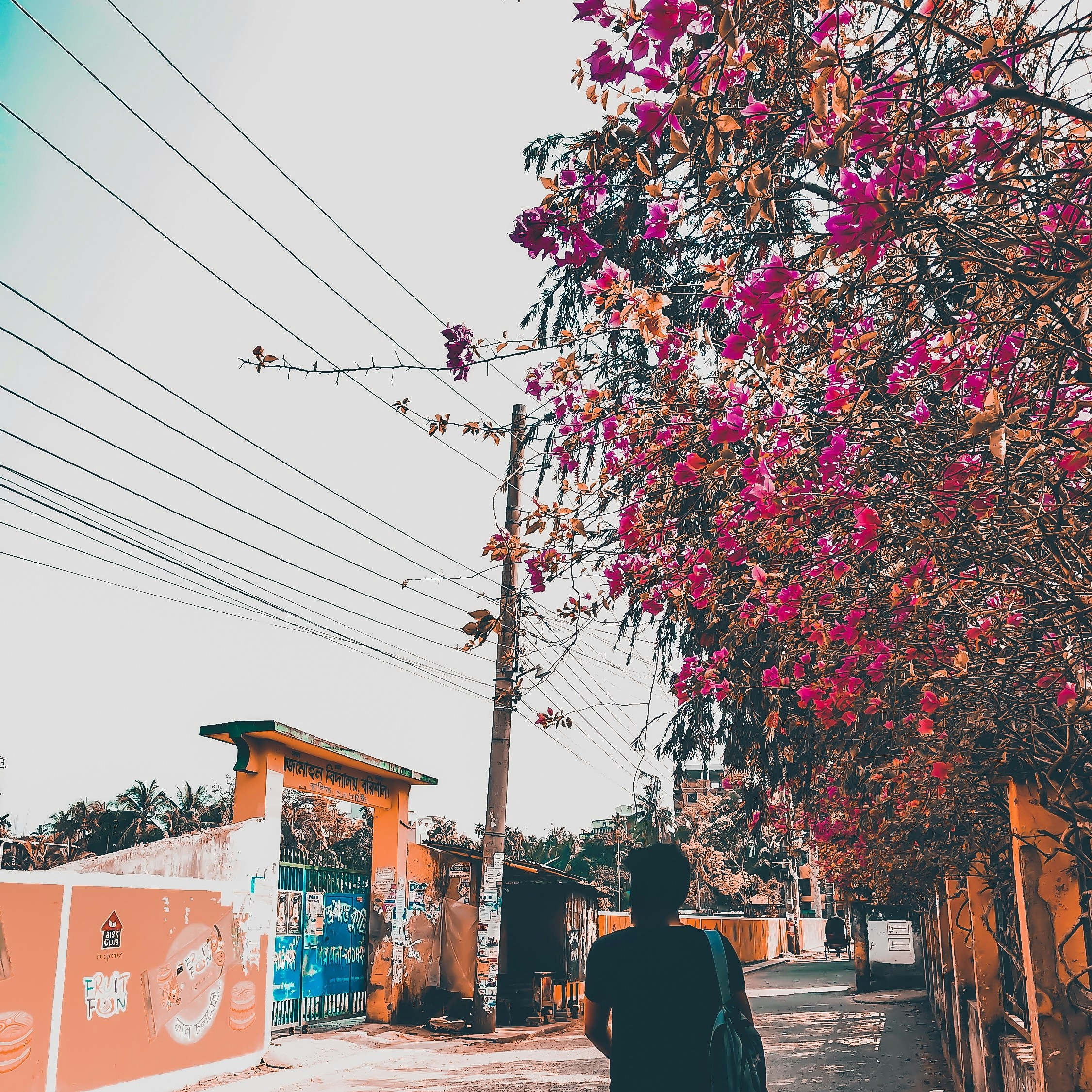 Photo by aron_nowhat