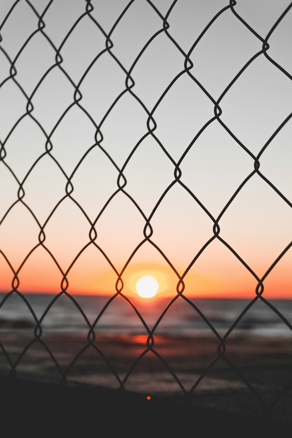 close-up photography of iron wire fence during golden hour