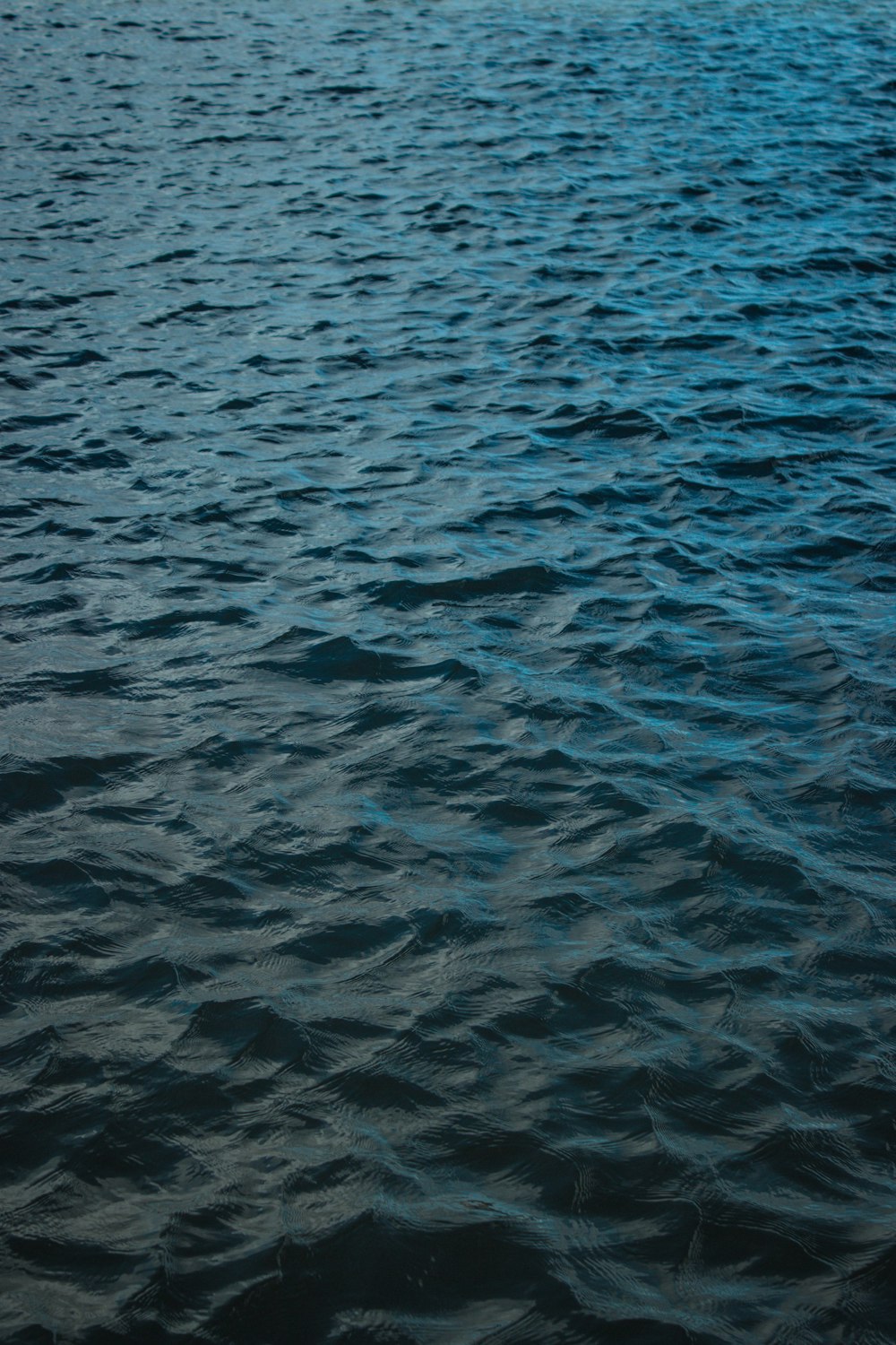 selective focus photography of body of water at daytime