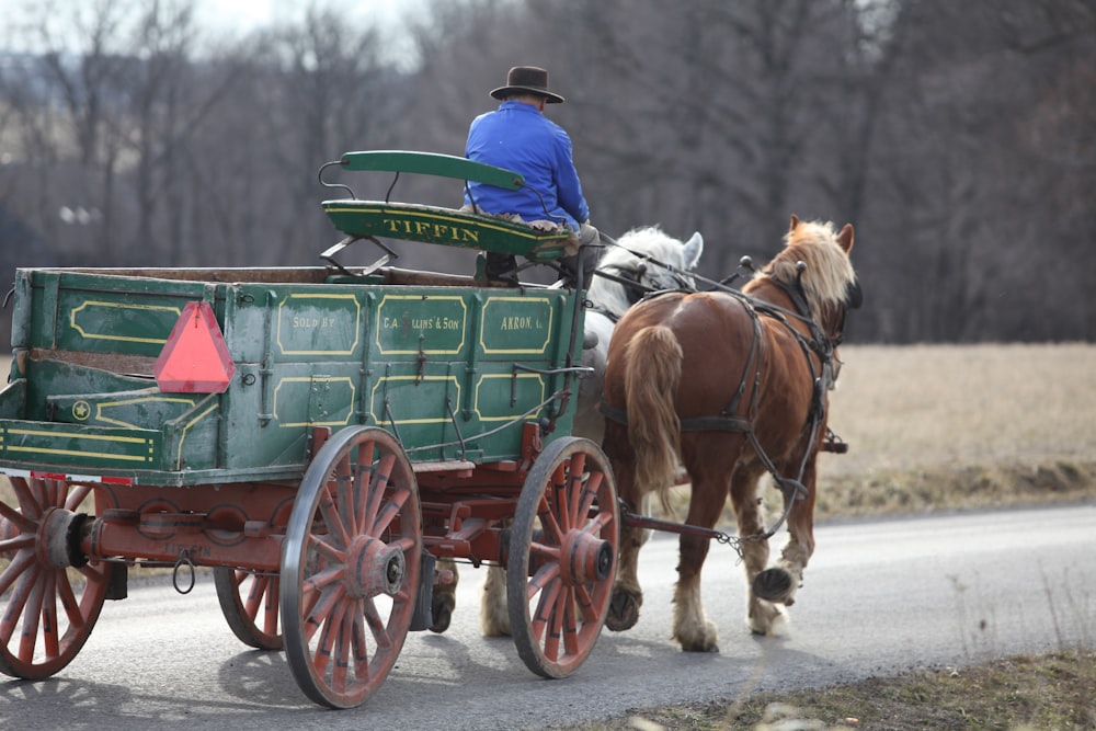 hombre de azul en carruaje sosteniendo cuerda atado a caballos durante el día