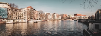 A serene view of Amsterdam's canals with business buildings in the background.