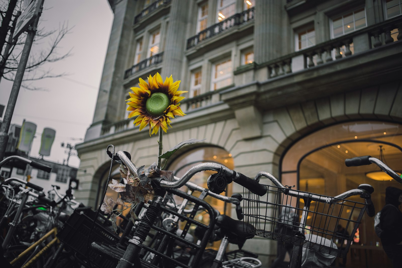 Canon EF 28mm F2.8 sample photo. Bikes parked in front photography