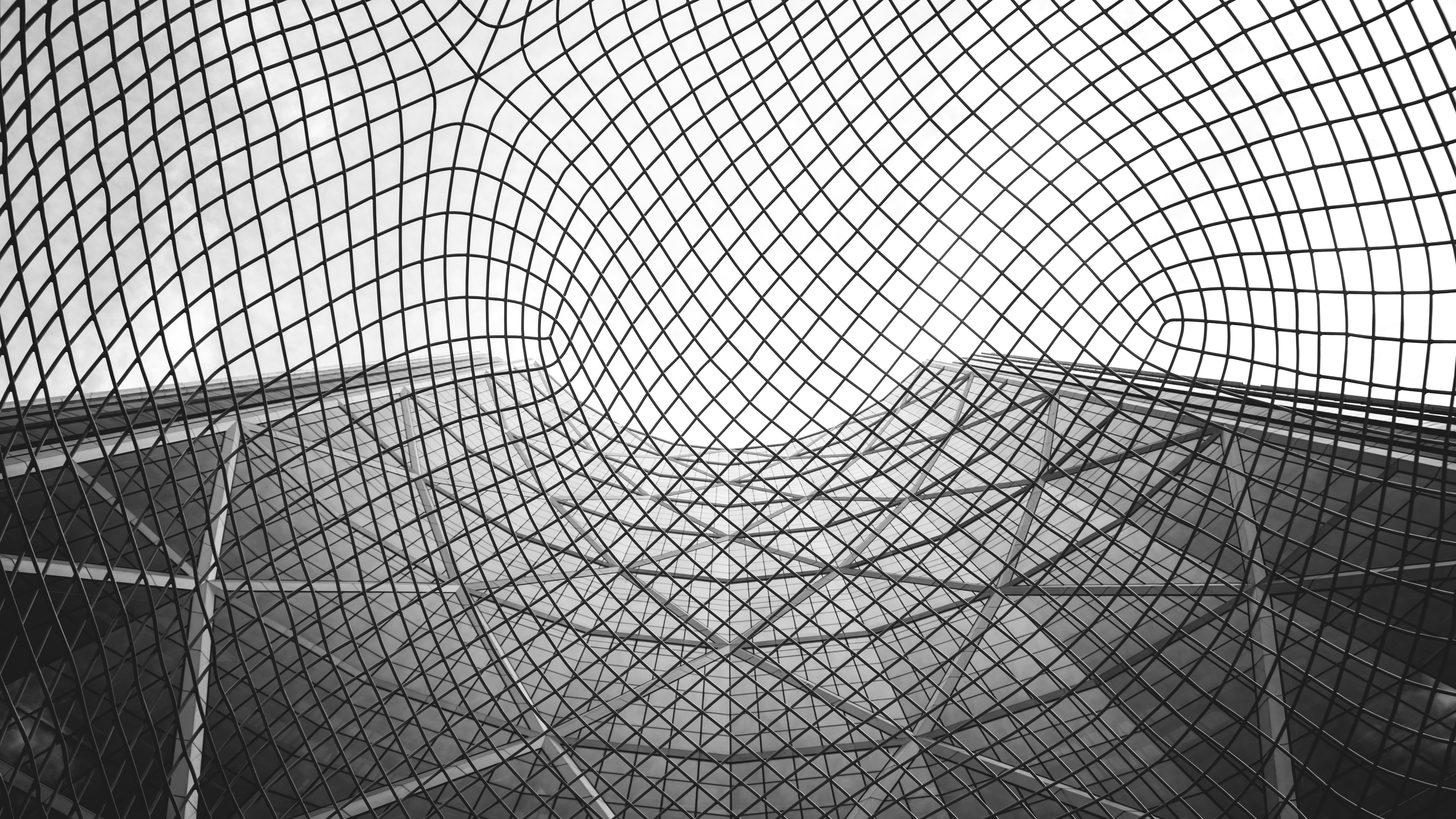 grayscale photography of net