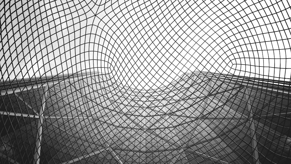 grayscale photography of net