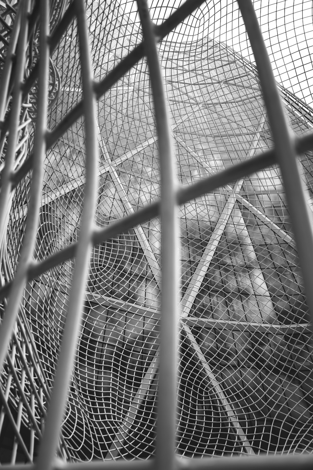 selective focus greyscale photography of net
