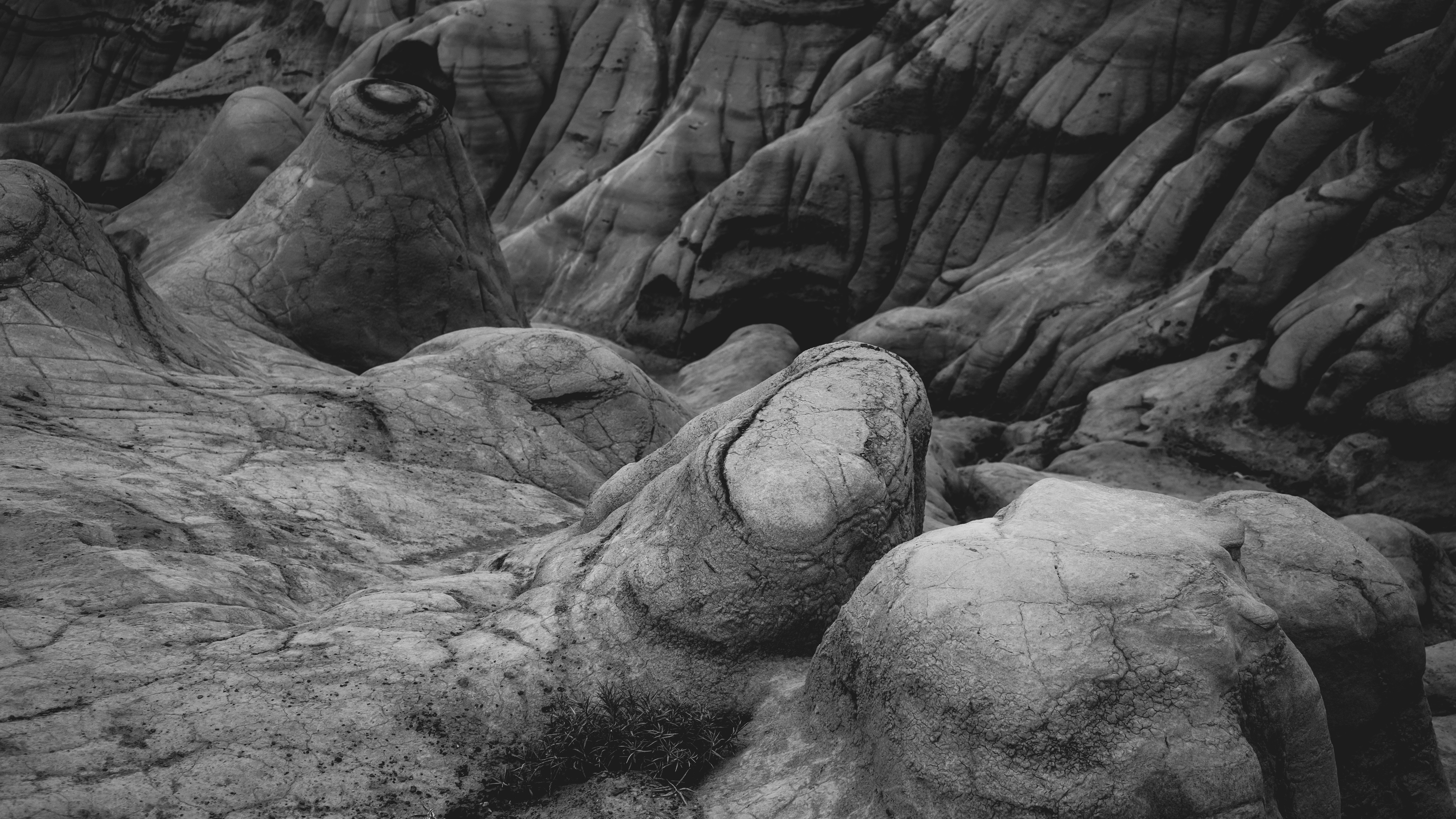 Photo by reddfrancisco