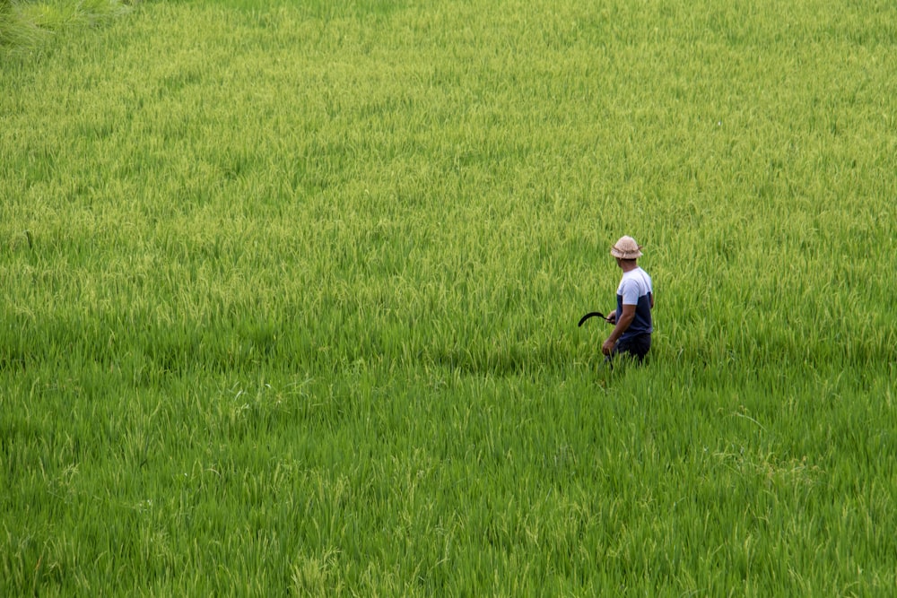 man holding sickle at the ricefield