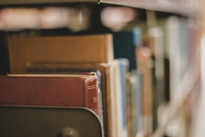Books on a shelf with a focus on the spine of a red hardcover book, surrounded by other books with varying colors, in a library or study setting.