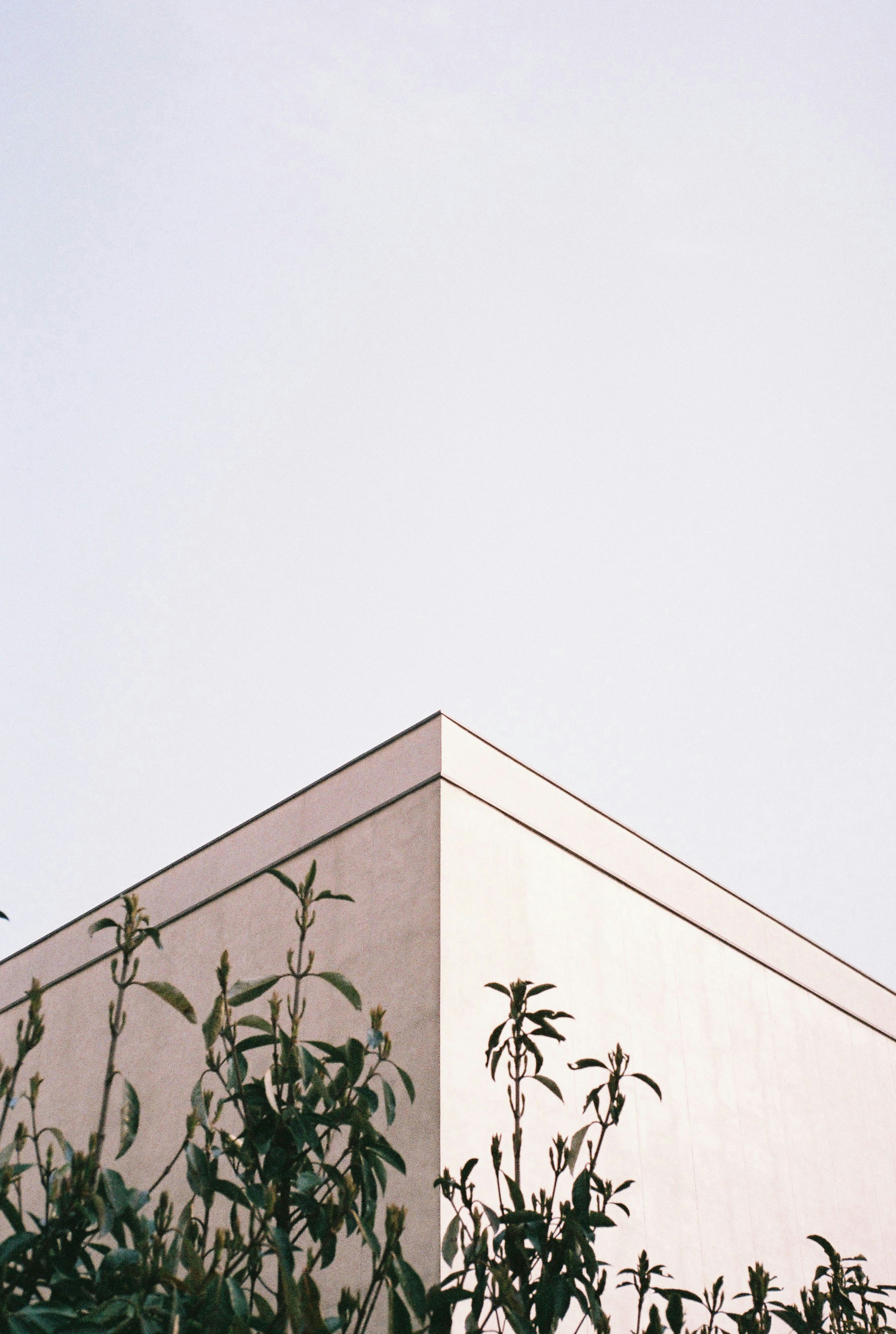 Photo by kennyzhang29