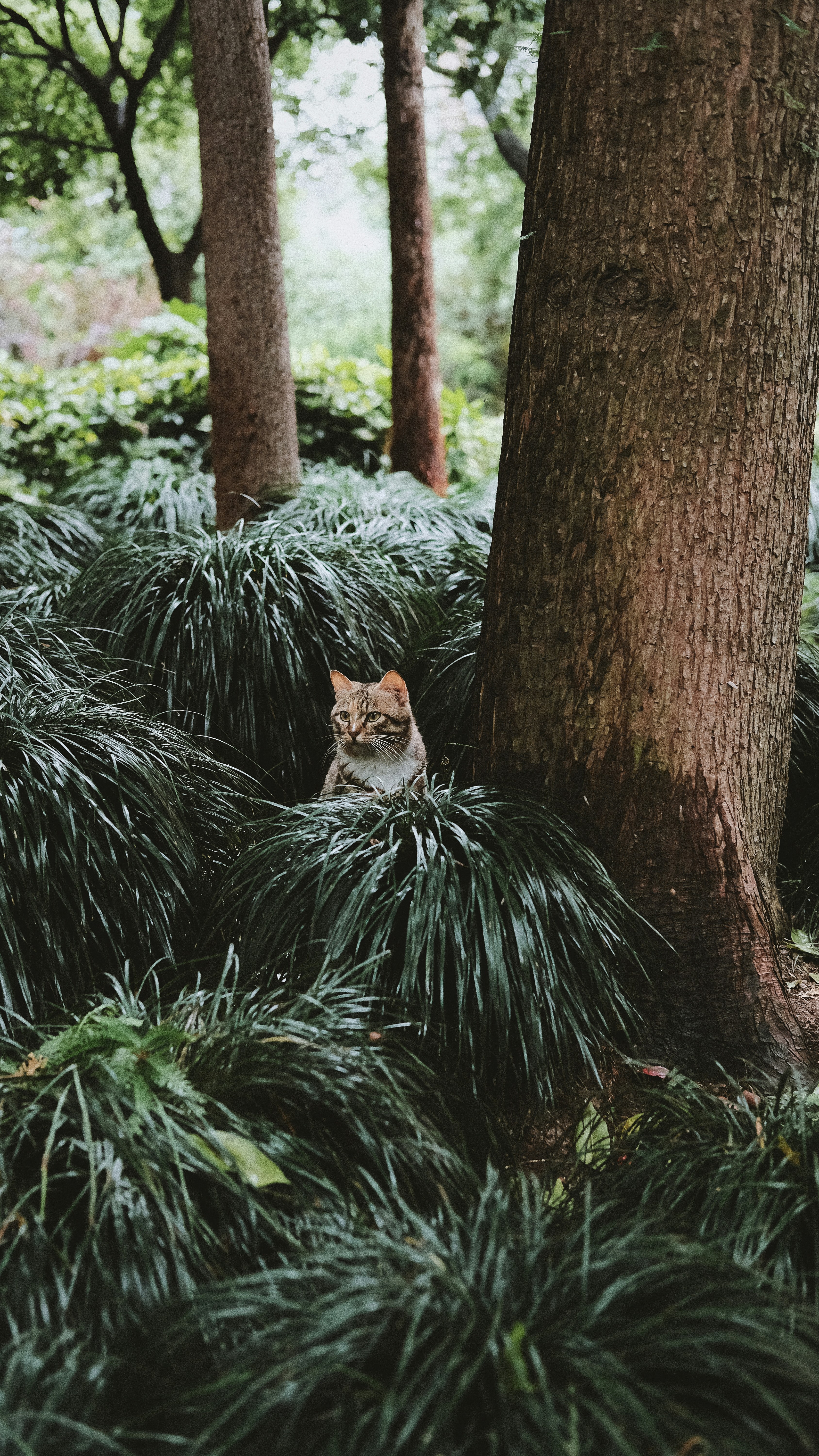 Photo by kennyzhang29