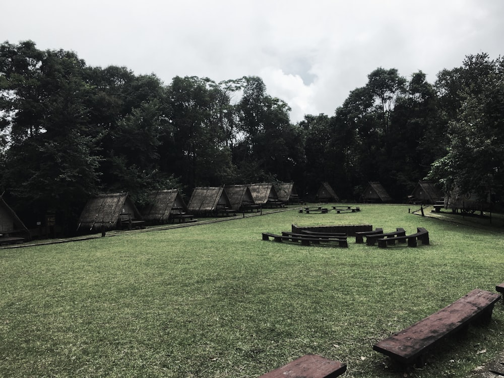 benches and houses near tree under cloudy sky at daytime