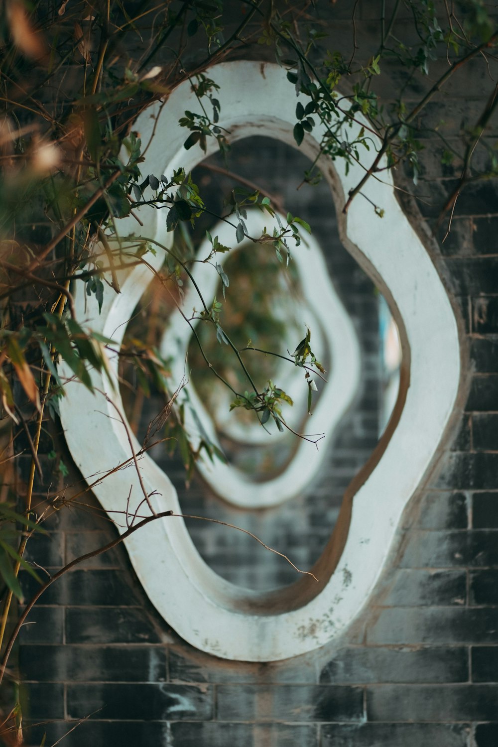 white wall mirror behind plants