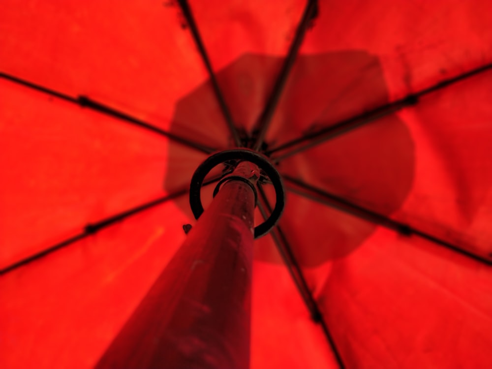 opened red umbrella