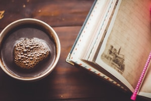 The Guided Journal
